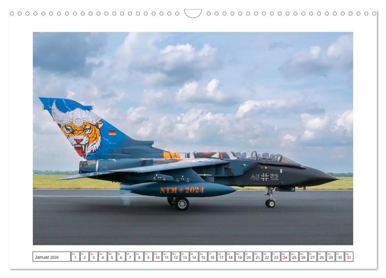 Bild: 9783457389560 | Tiger Meet Schleswig (Wandkalender 2026 DIN A3 quer), CALVENDO...