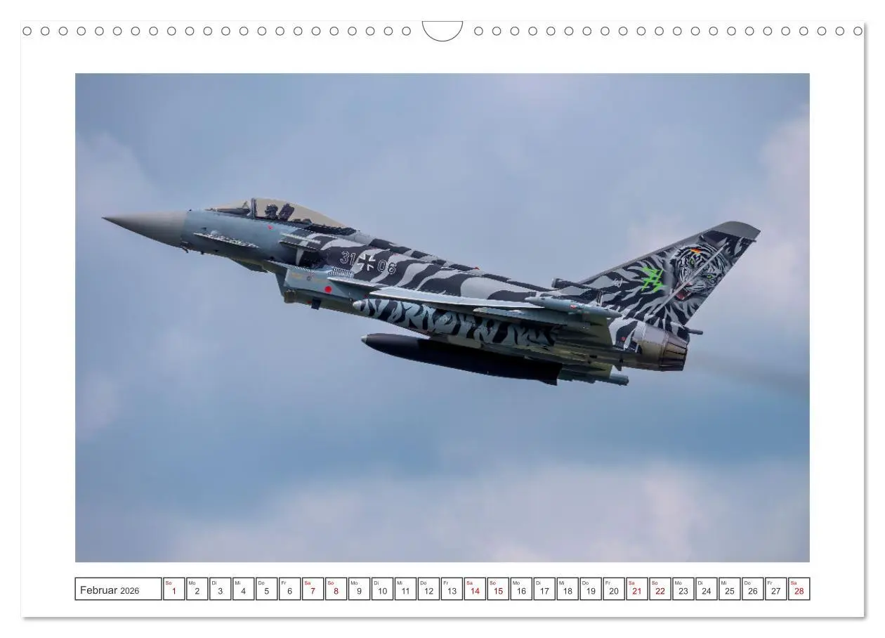 Bild: 9783457389560 | Tiger Meet Schleswig (Wandkalender 2026 DIN A3 quer), CALVENDO...