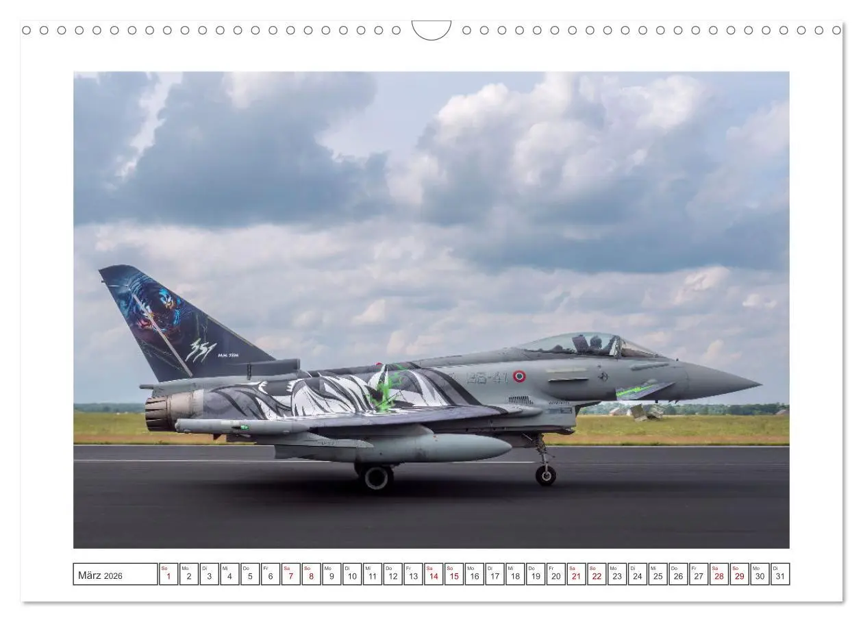 Bild: 9783457389560 | Tiger Meet Schleswig (Wandkalender 2026 DIN A3 quer), CALVENDO...