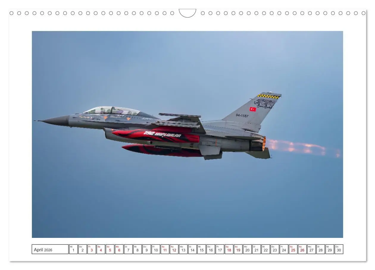 Bild: 9783457389560 | Tiger Meet Schleswig (Wandkalender 2026 DIN A3 quer), CALVENDO...