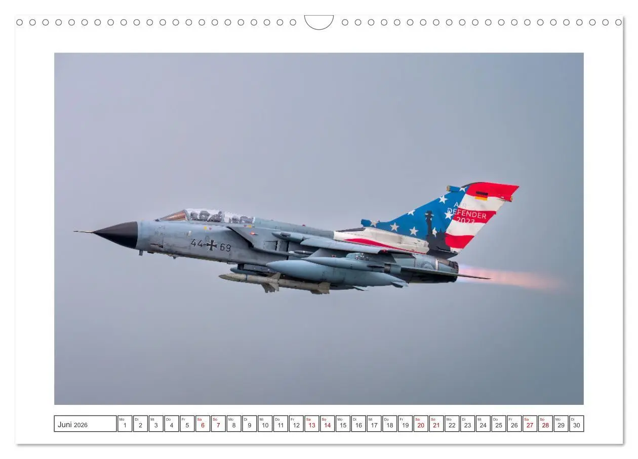 Bild: 9783457389560 | Tiger Meet Schleswig (Wandkalender 2026 DIN A3 quer), CALVENDO...