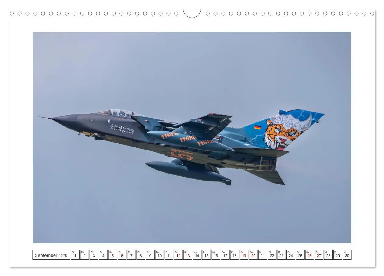 Bild: 9783457389560 | Tiger Meet Schleswig (Wandkalender 2026 DIN A3 quer), CALVENDO...