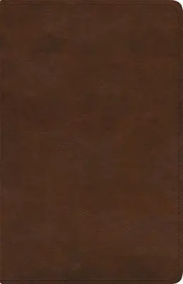 Cover: 9781433579660 | ESV Spanish/English Parallel Bible | Esv Bibles | Buch | Englisch