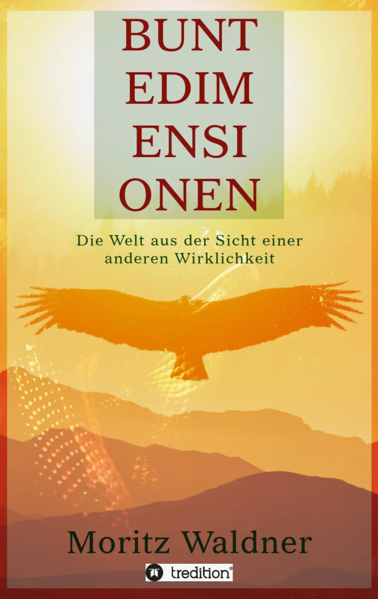 Cover: 9783347009660 | Bunte Dimensionen | Die Welt aus der Sicht einer anderen Wirklichkeit