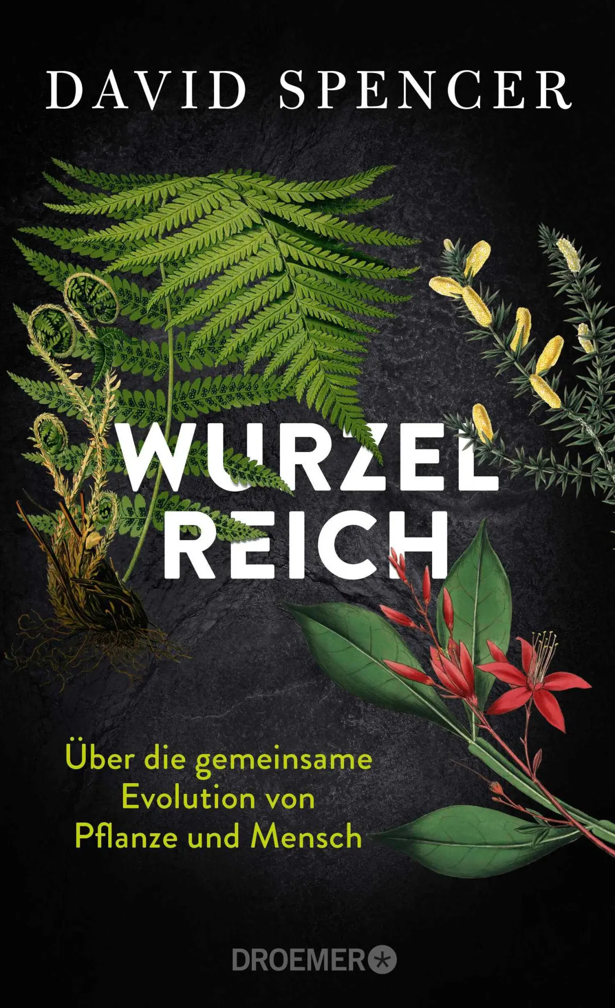 Cover: 9783426449660 | Wurzelreich | David Spencer | Buch | 256 S. | Deutsch | 2025 | Droemer