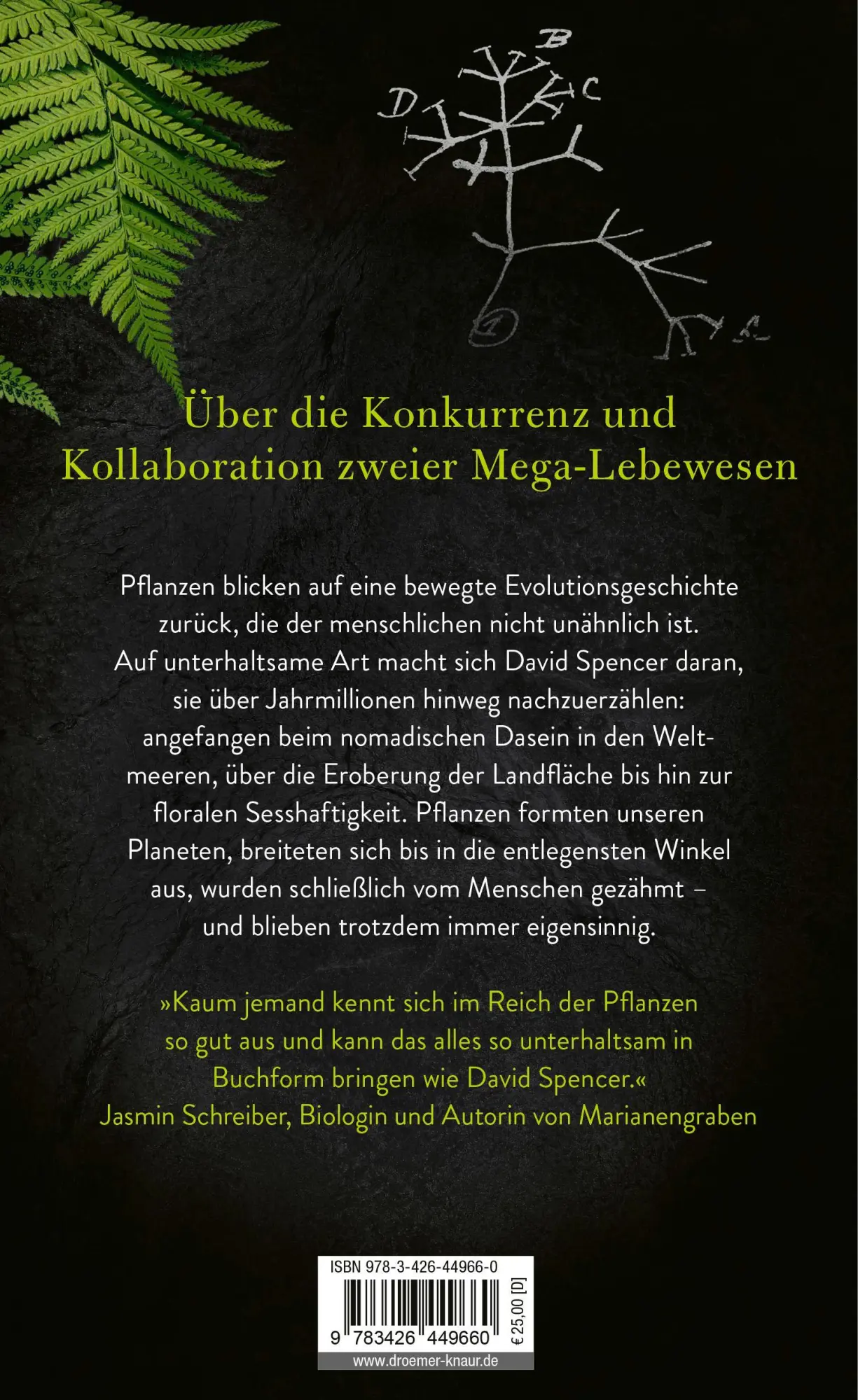 Rückseite: 9783426449660 | Wurzelreich | David Spencer | Buch | 256 S. | Deutsch | 2025 | Droemer