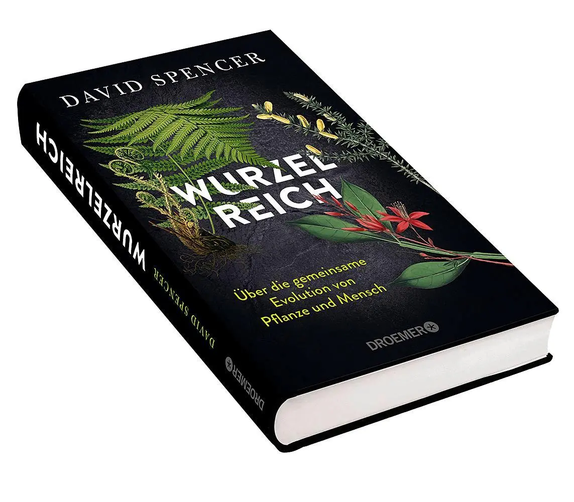 Bild: 9783426449660 | Wurzelreich | David Spencer | Buch | 256 S. | Deutsch | 2025 | Droemer