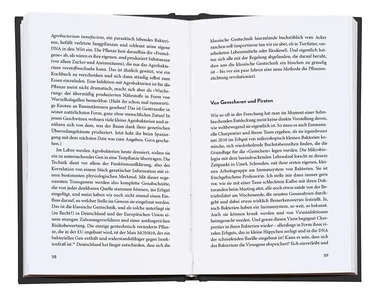 Bild: 9783426449660 | Wurzelreich | David Spencer | Buch | 256 S. | Deutsch | 2025 | Droemer