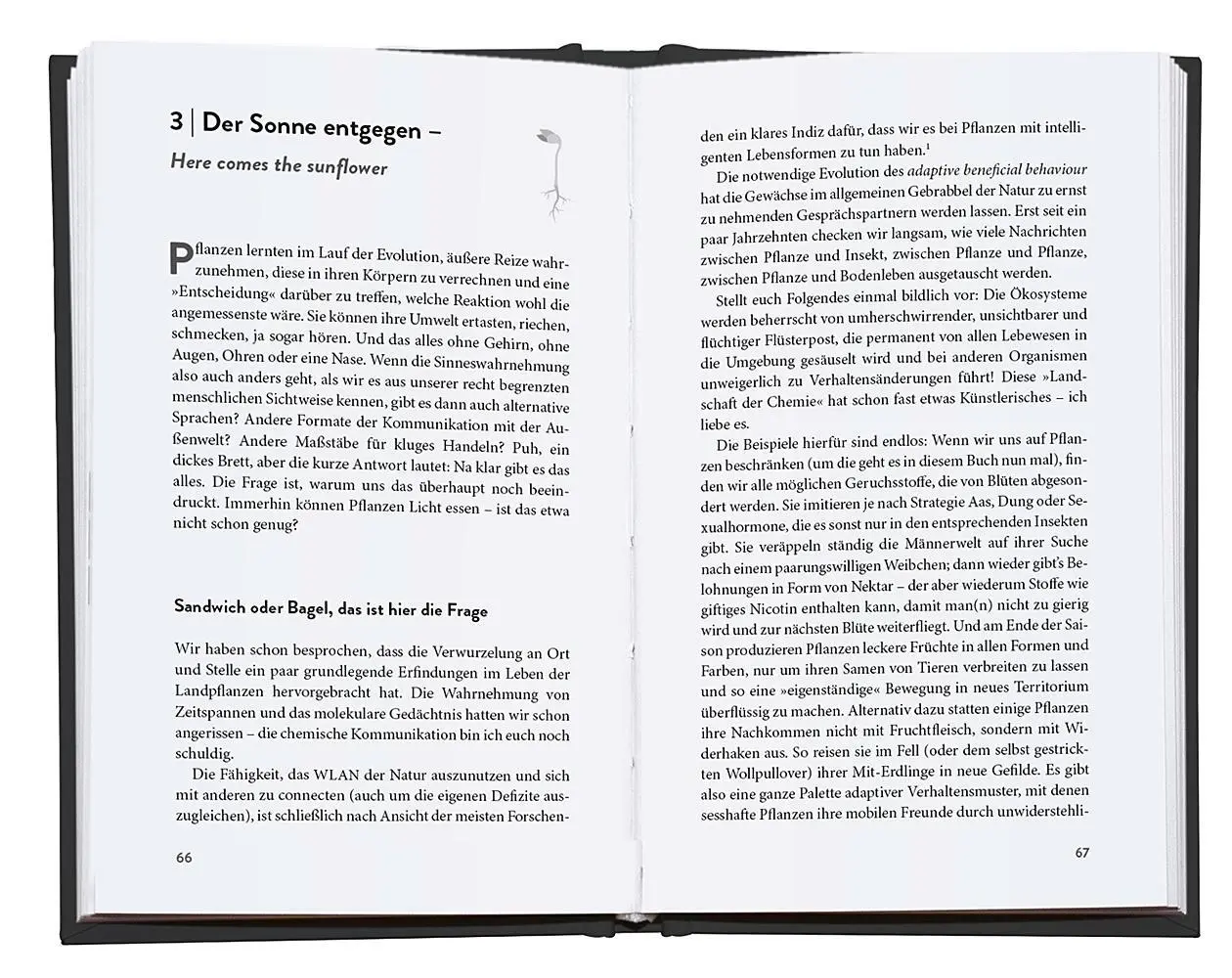 Bild: 9783426449660 | Wurzelreich | David Spencer | Buch | 256 S. | Deutsch | 2025 | Droemer