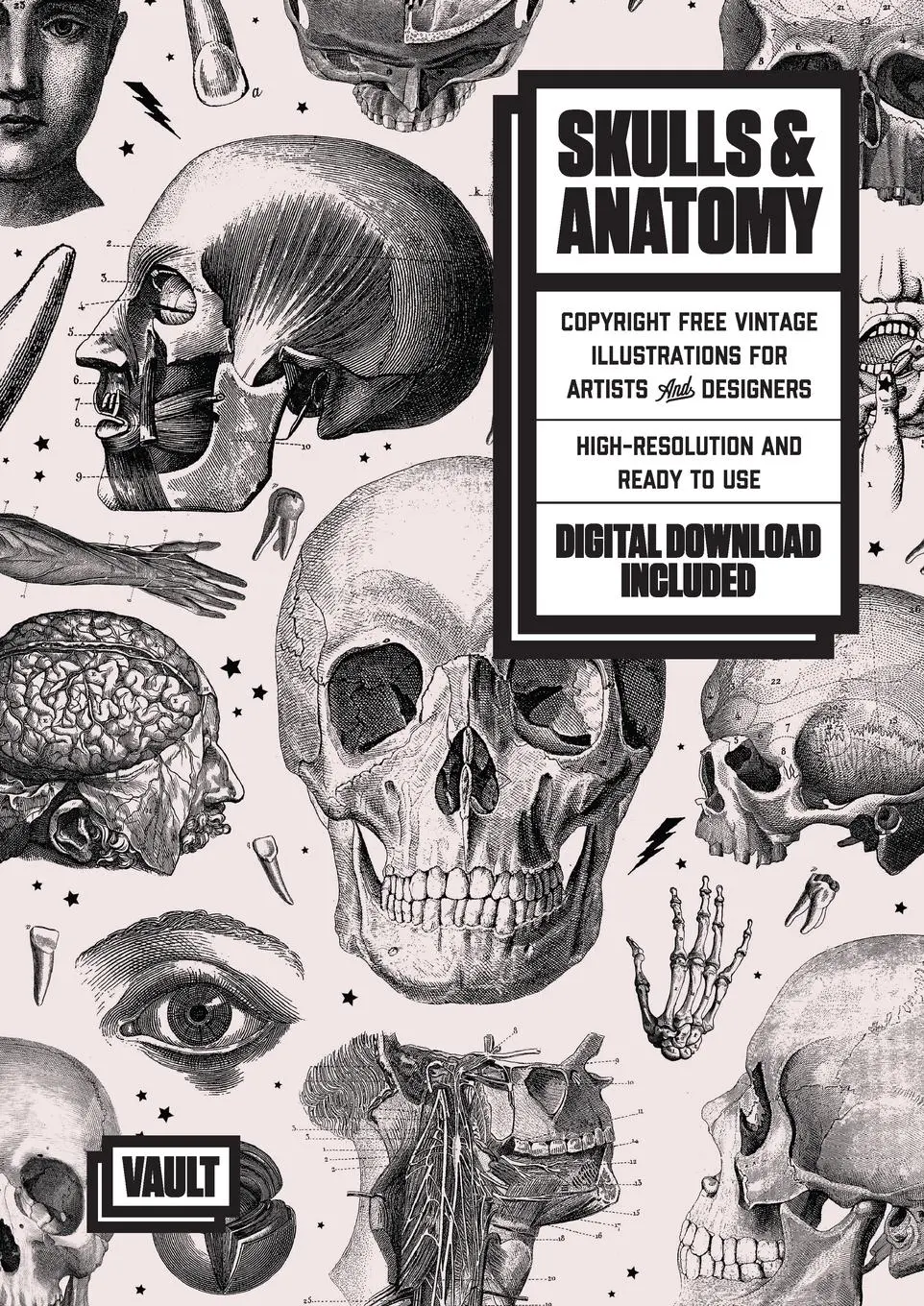 Cover: 9780648049760 | Skulls &amp; Anatomy | James Kale | Taschenbuch | Kartoniert / Broschiert