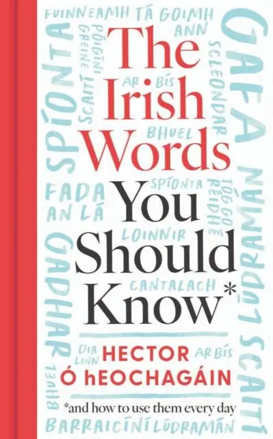 Cover: 9780717199860 | The Irish Words You Should Know | and how to use them every day | Buch