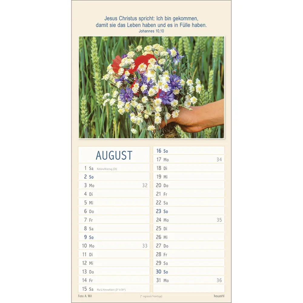 Bild: 9783754840061 | Meine Zeit in seinen Händen 2026 | Termin-Kalender | Kalender | 14 S.