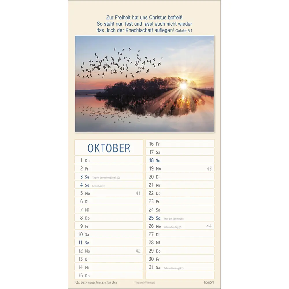 Bild: 9783754840061 | Meine Zeit in seinen Händen 2026 | Termin-Kalender | Kalender | 14 S.