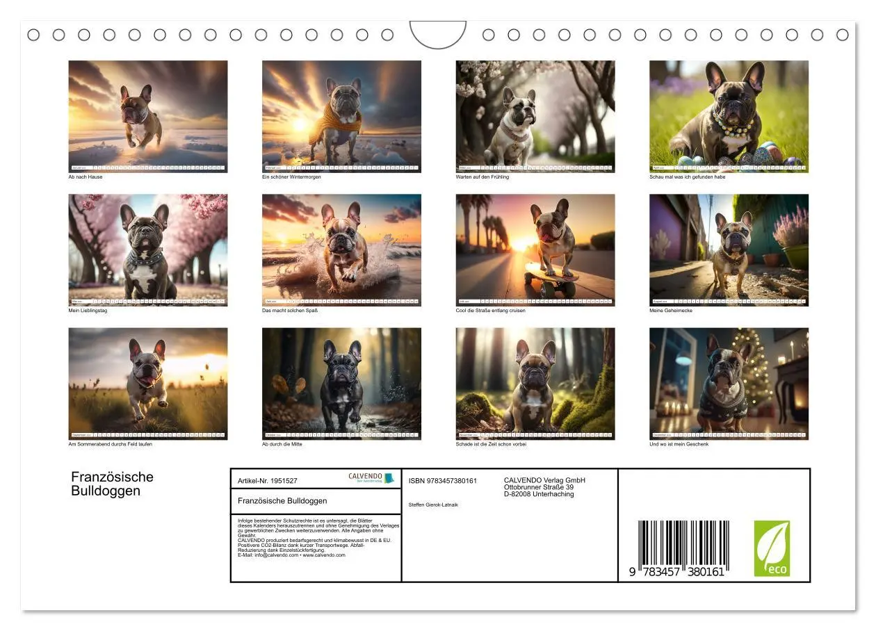 Bild: 9783457380161 | Französische Bulldoggen (Wandkalender 2026 DIN A4 quer), CALVENDO...