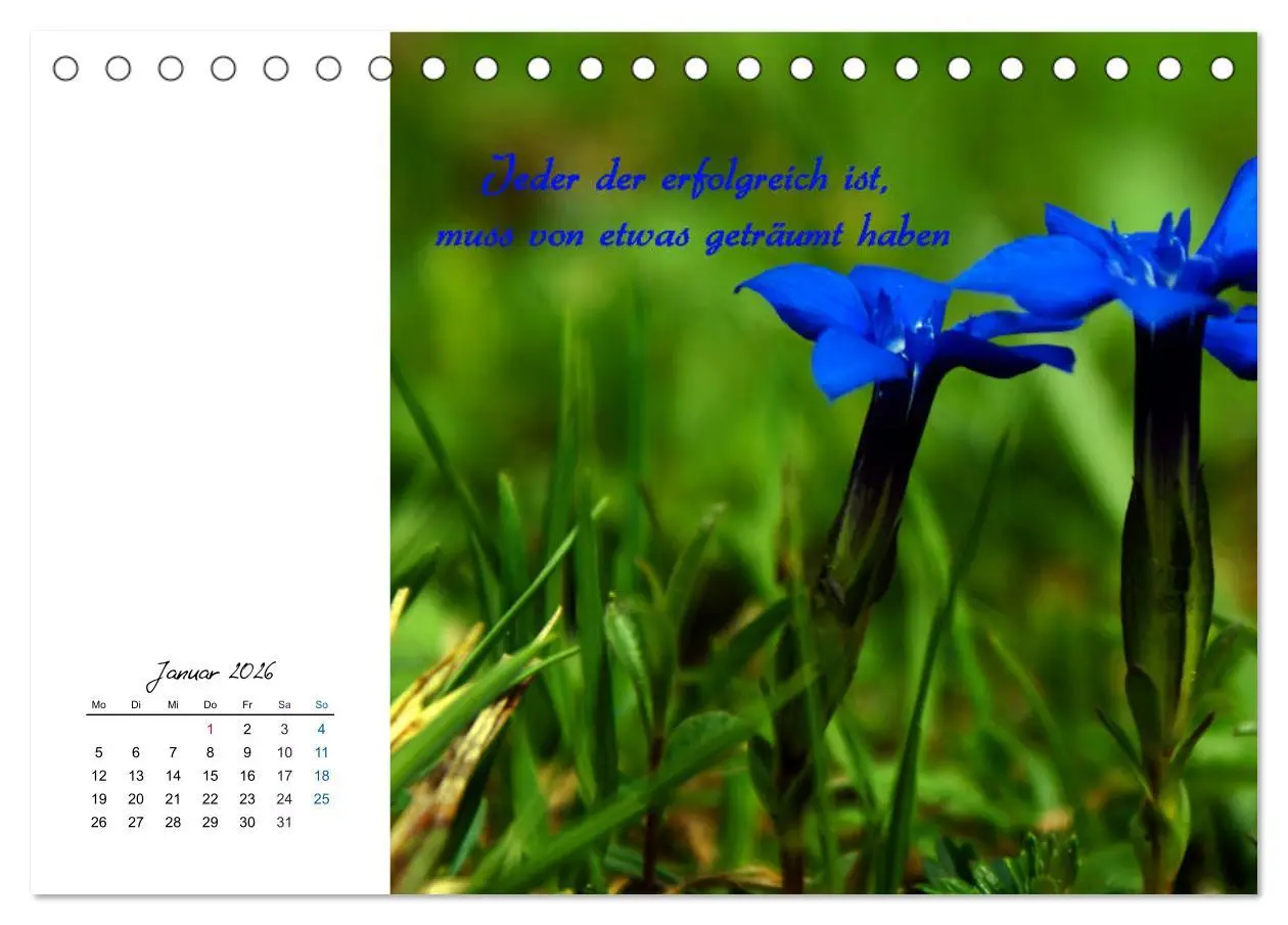 Bild: 9783457830161 | Innehalten in der Natur ... mit Weisheiten und Sprichworten der...