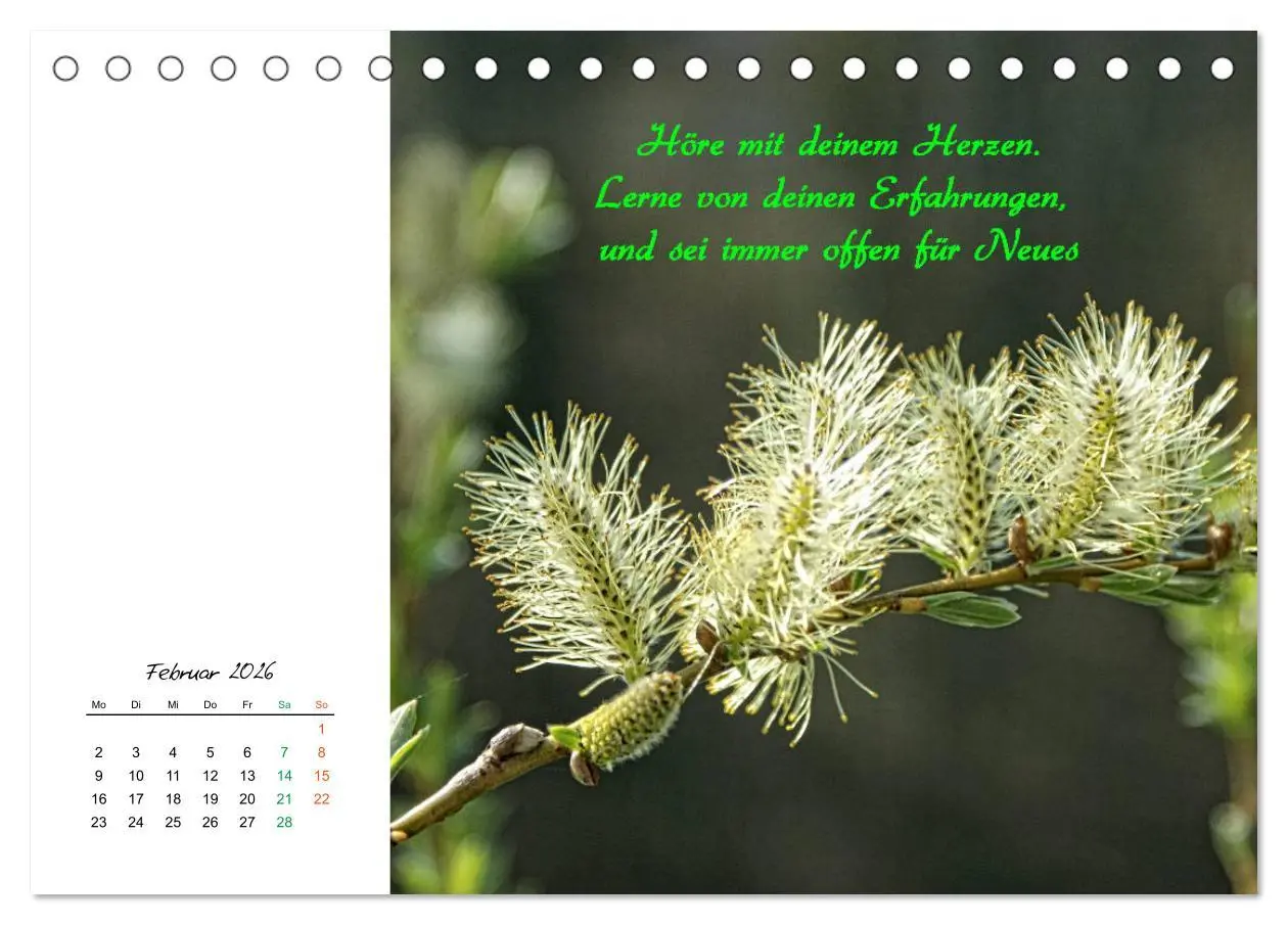 Bild: 9783457830161 | Innehalten in der Natur ... mit Weisheiten und Sprichworten der...