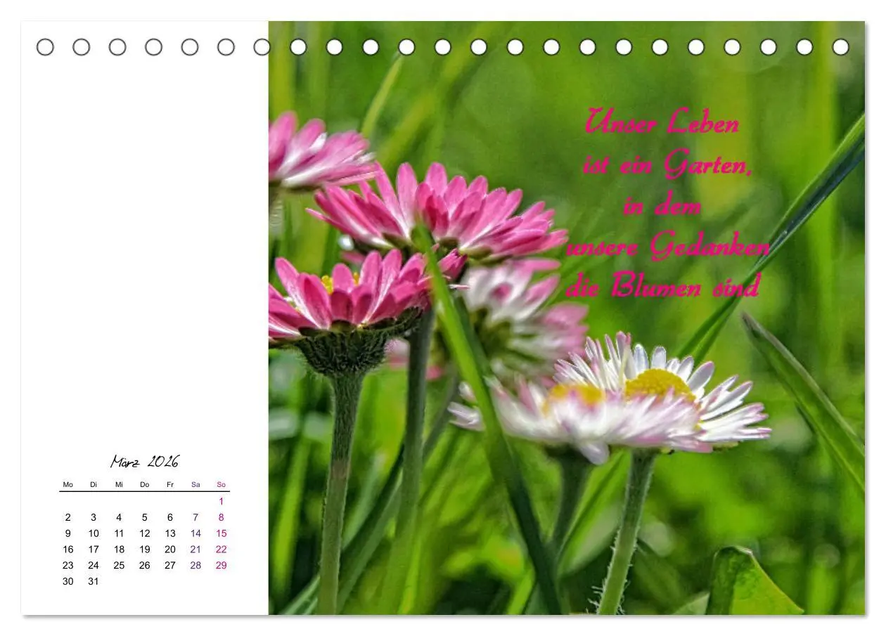 Bild: 9783457830161 | Innehalten in der Natur ... mit Weisheiten und Sprichworten der...