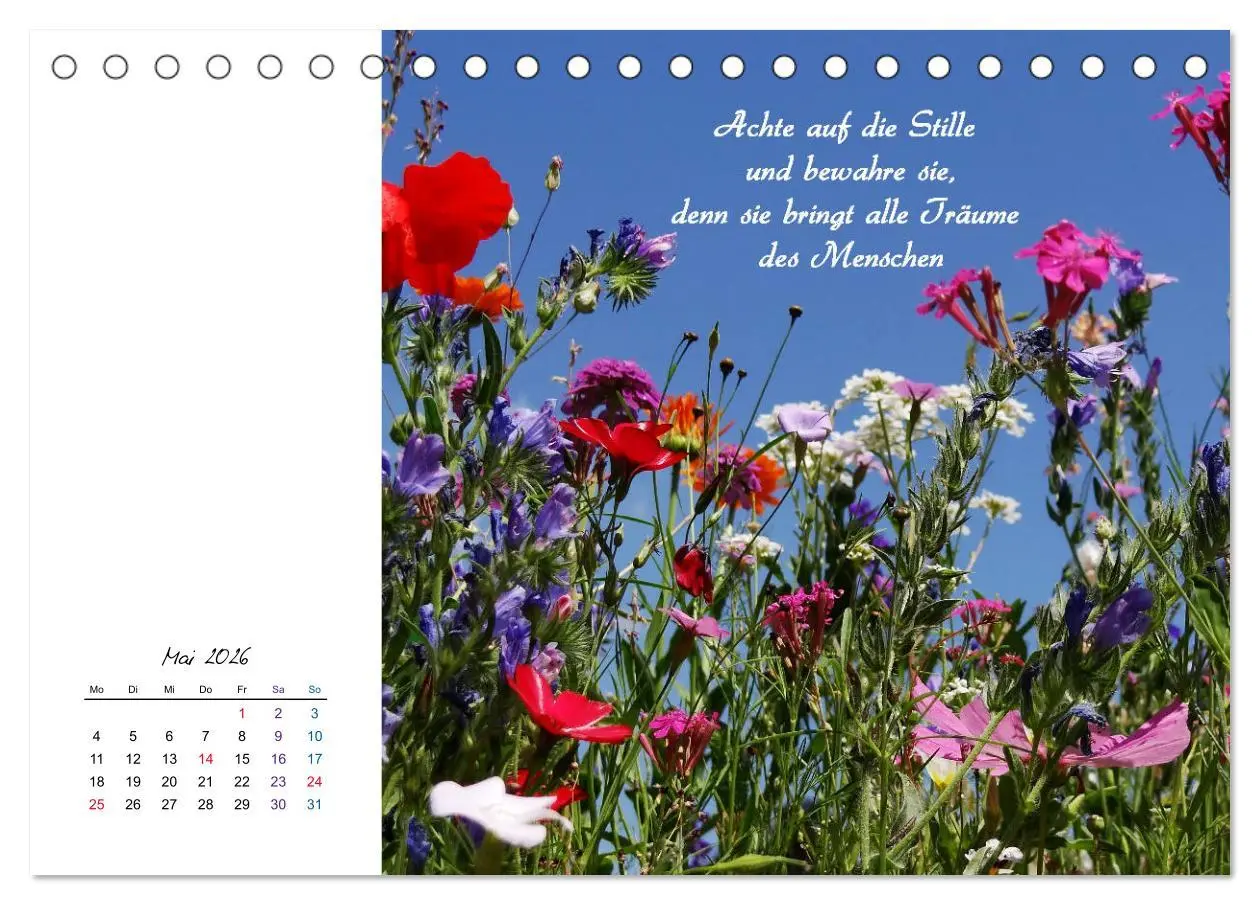Bild: 9783457830161 | Innehalten in der Natur ... mit Weisheiten und Sprichworten der...