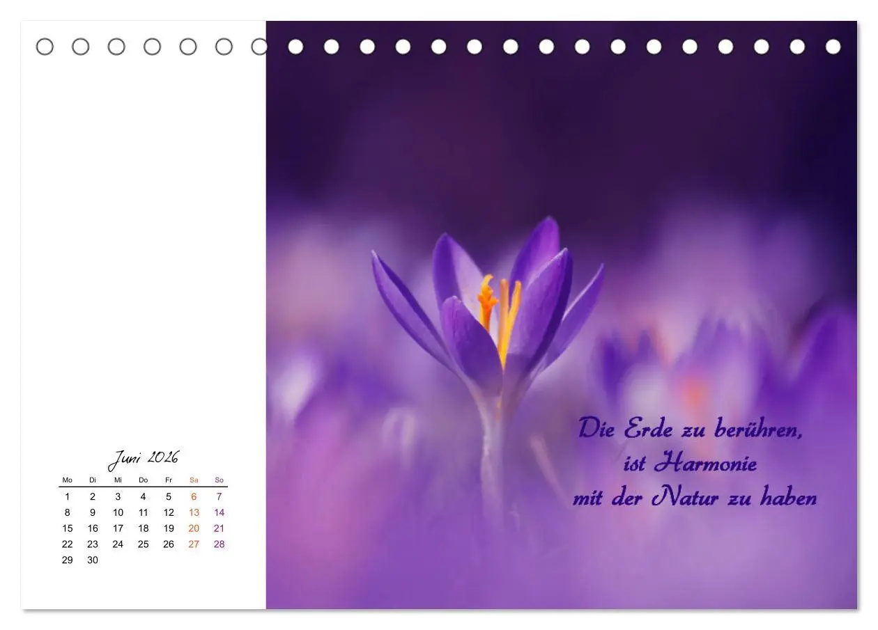 Bild: 9783457830161 | Innehalten in der Natur ... mit Weisheiten und Sprichworten der...