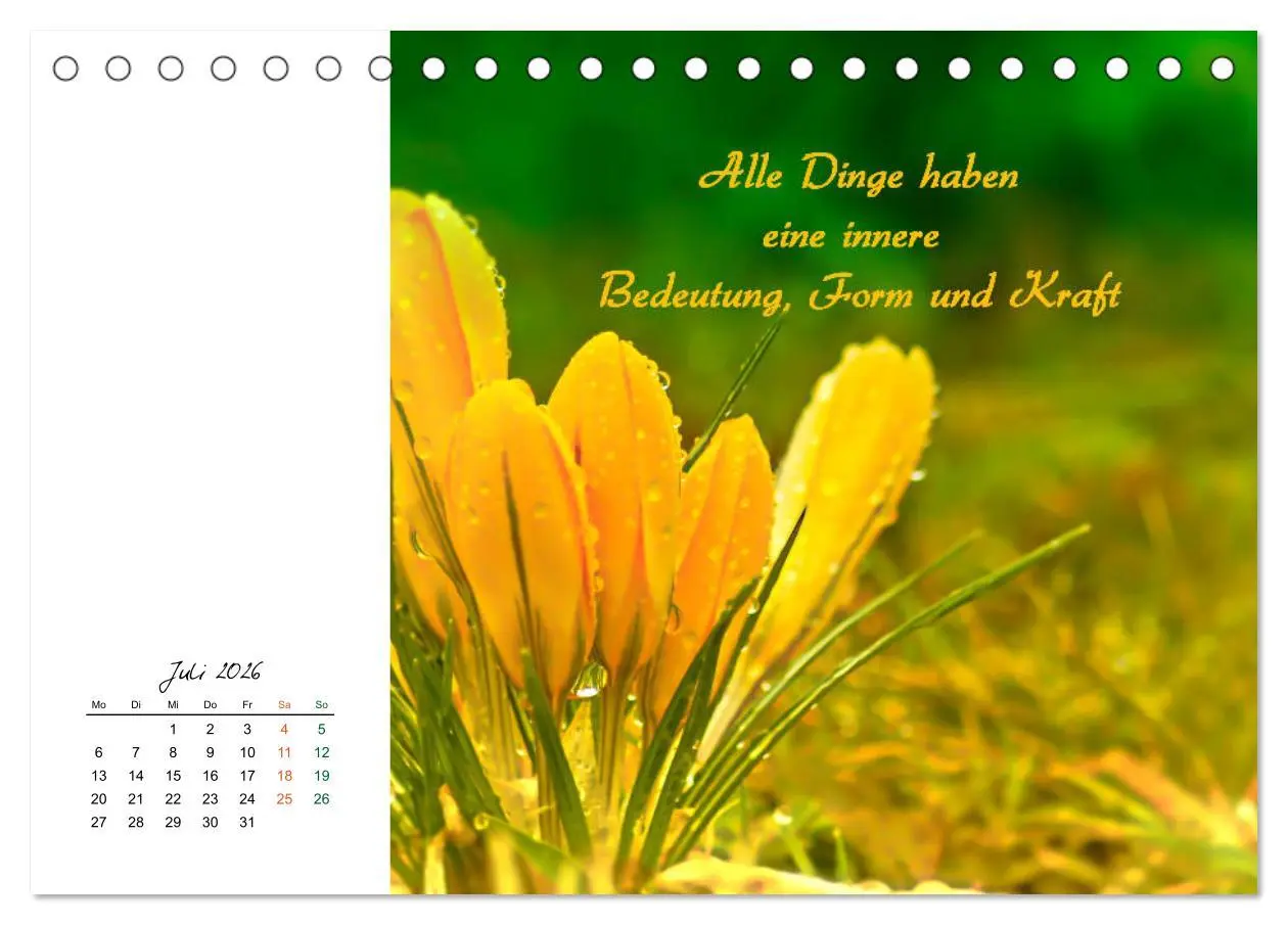 Bild: 9783457830161 | Innehalten in der Natur ... mit Weisheiten und Sprichworten der...