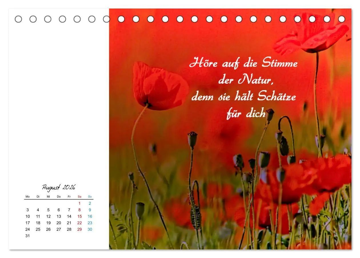Bild: 9783457830161 | Innehalten in der Natur ... mit Weisheiten und Sprichworten der...