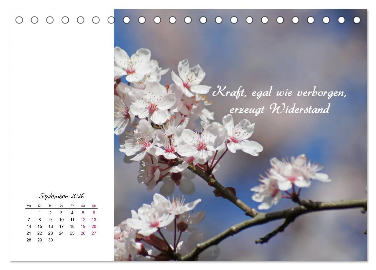 Bild: 9783457830161 | Innehalten in der Natur ... mit Weisheiten und Sprichworten der...