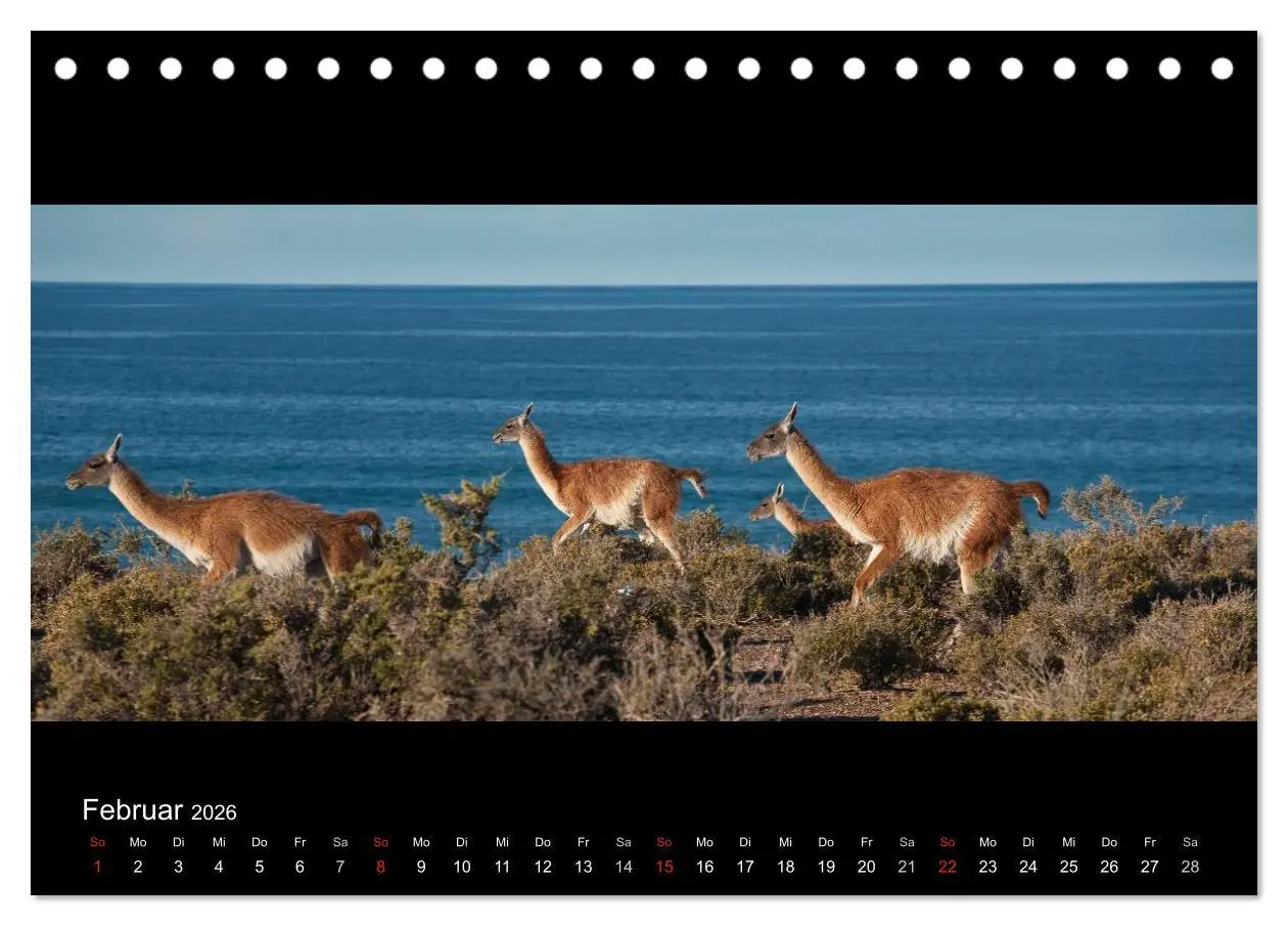 Bild: 9783516160161 | Patagonien - Ungezähmtes Land (Tischkalender 2026 DIN A5 quer),...