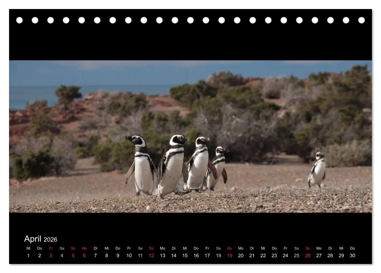 Bild: 9783516160161 | Patagonien - Ungezähmtes Land (Tischkalender 2026 DIN A5 quer),...