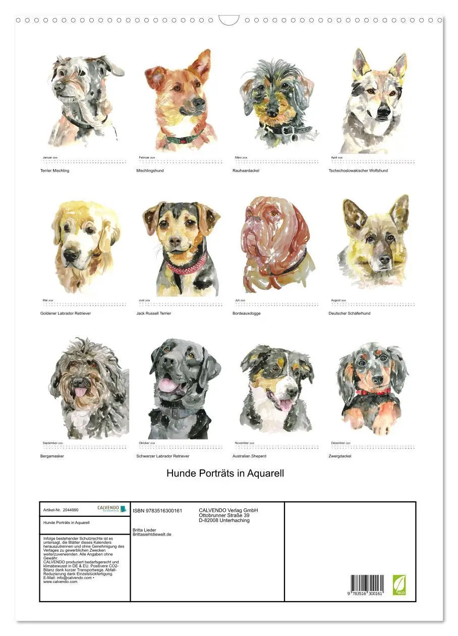 Bild: 9783516300161 | Hunde Porträts in Aquarell (Wandkalender 2026 DIN A2 hoch),...
