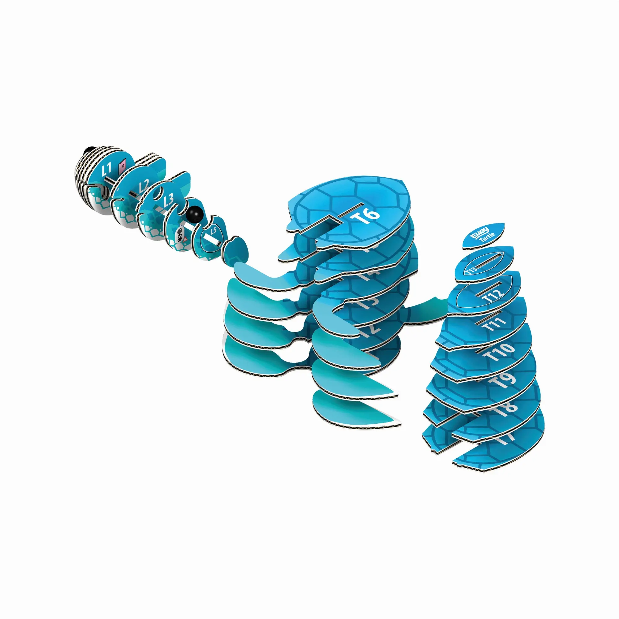 Bild: 9421035150361 | EUGY - 3D Bastelset Schildkröte | Eugy | Kit (Bastelset) | 650038
