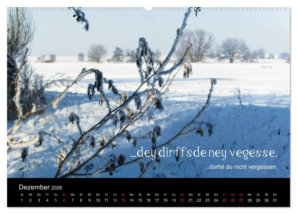 Bild: 9783457980361 | Die Wetterau mit Mundart-Statements (hochwertiger Premium...