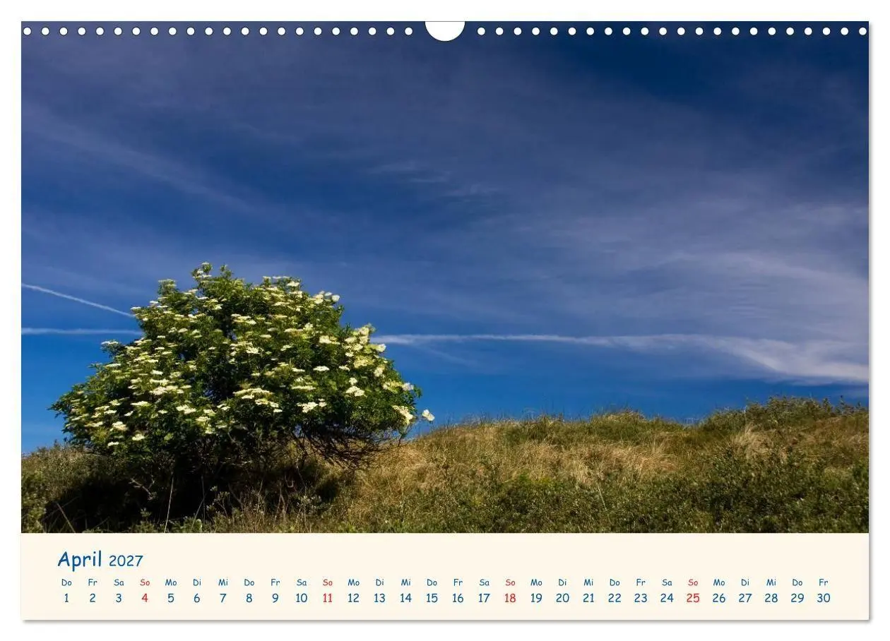 Bild: 9783594120361 | Urlaub auf Borkum (Wandkalender 2027 DIN A3 quer), CALVENDO...