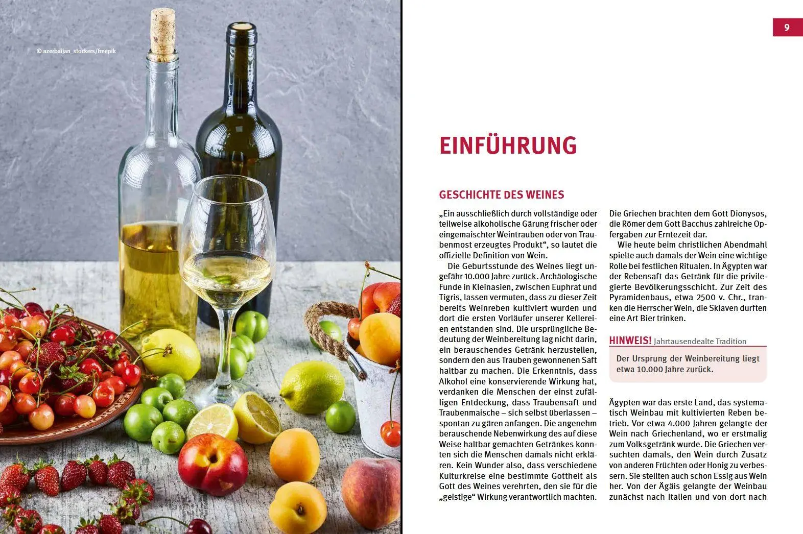 Bild: 9783702020361 | Fruchtweine und Kräuterweine | Gabriele Lehari (u. a.) | Buch | 160 S.