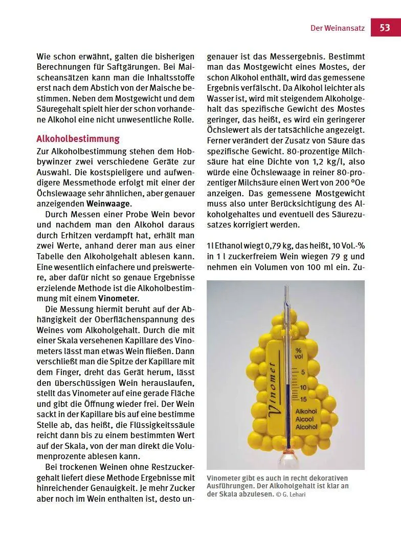 Bild: 9783702020361 | Fruchtweine und Kräuterweine | Gabriele Lehari (u. a.) | Buch | 160 S.