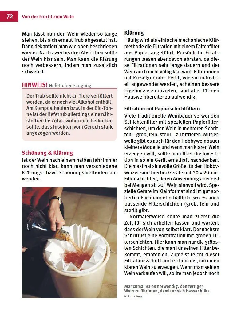 Bild: 9783702020361 | Fruchtweine und Kräuterweine | Gabriele Lehari (u. a.) | Buch | 160 S.