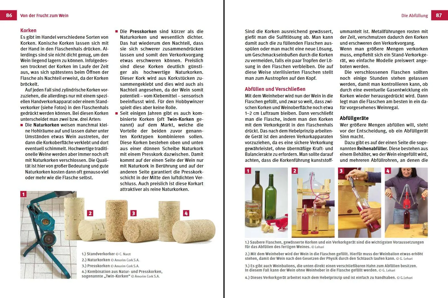 Bild: 9783702020361 | Fruchtweine und Kräuterweine | Gabriele Lehari (u. a.) | Buch | 160 S.