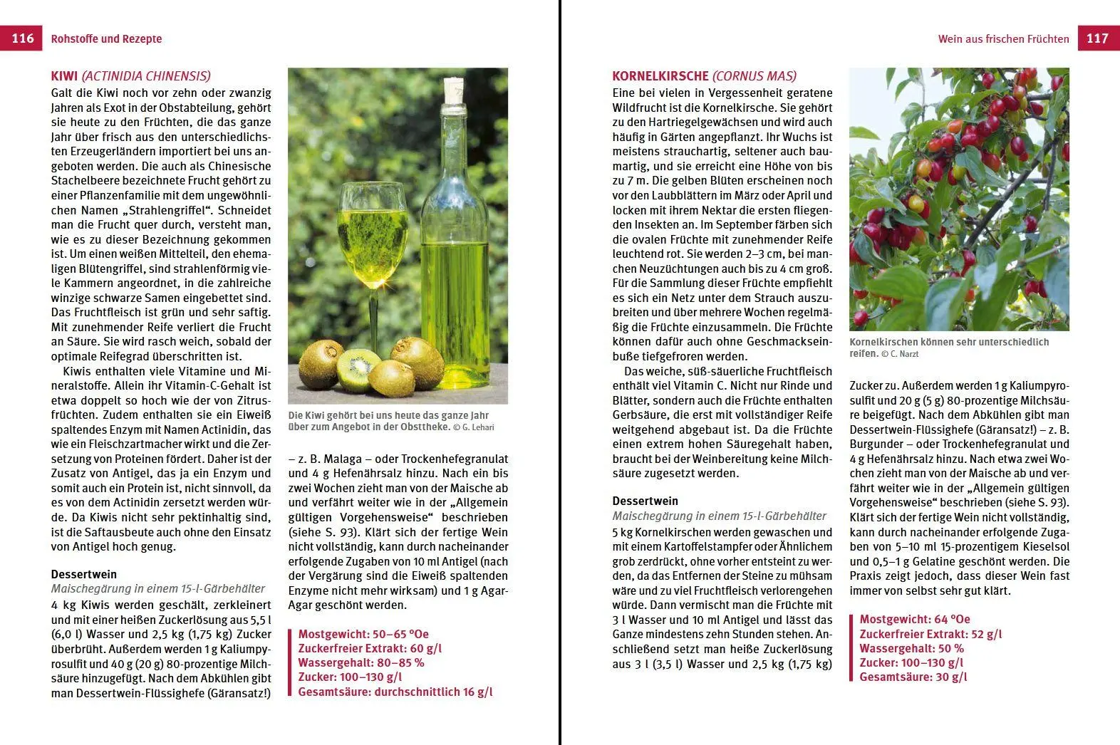 Bild: 9783702020361 | Fruchtweine und Kräuterweine | Gabriele Lehari (u. a.) | Buch | 160 S.