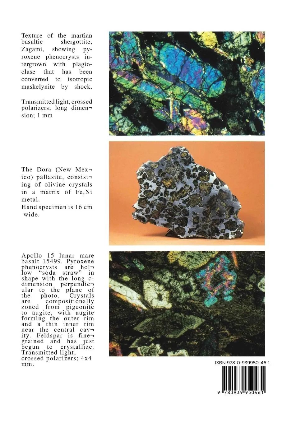 Rückseite: 9780939950461 | Planetary Materials | James J. Papike | Taschenbuch | XX | Englisch