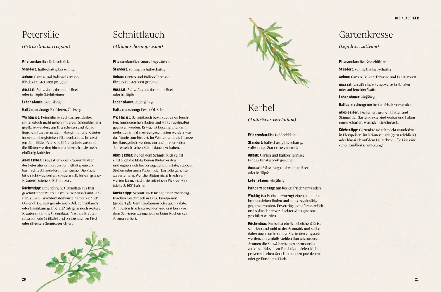 Bild: 9783756710461 | Unsere kreative Kräuterküche | Lieblingsrezepte für jeden Tag | Buch