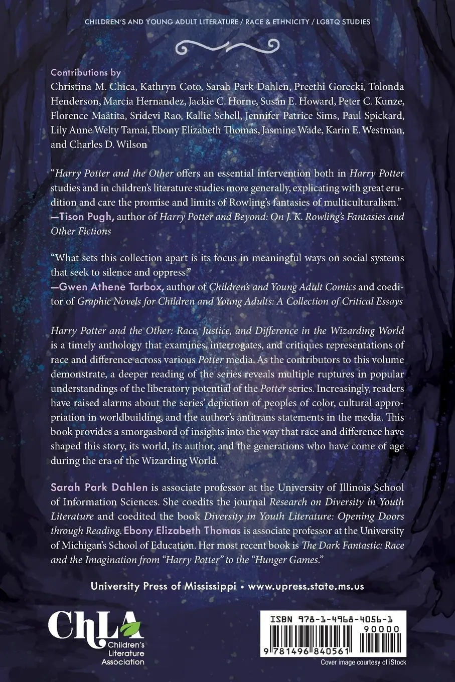 Rückseite: 9781496840561 | Harry Potter and the Other | Sarah Park Dahlen | Taschenbuch | 2022