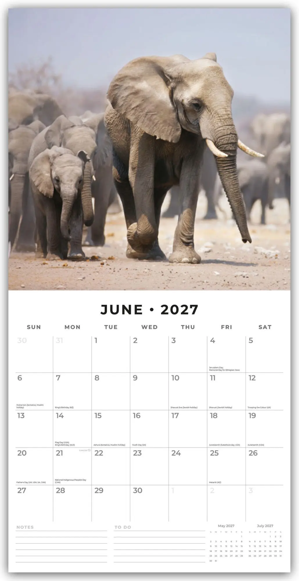 Bild: 9781837010561 | Elephants - Elefanten 2027 - 16-Monatskalender | Robin Red | Kalender