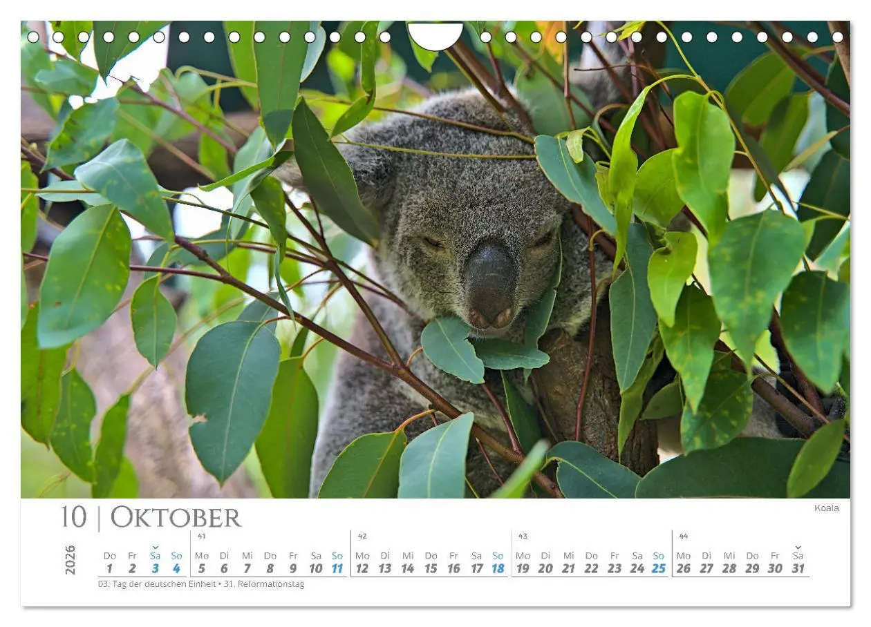 Bild: 9783457270561 | Australien - Highlights Ostküste (Wandkalender 2026 DIN A4 quer),...