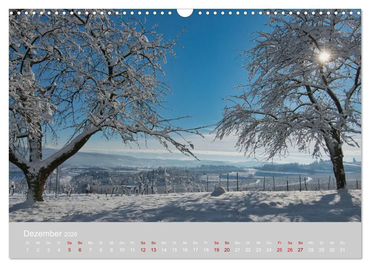 Bild: 9783457410561 | Ettenheim - Perle der Ortenau (Wandkalender 2026 DIN A3 quer),...