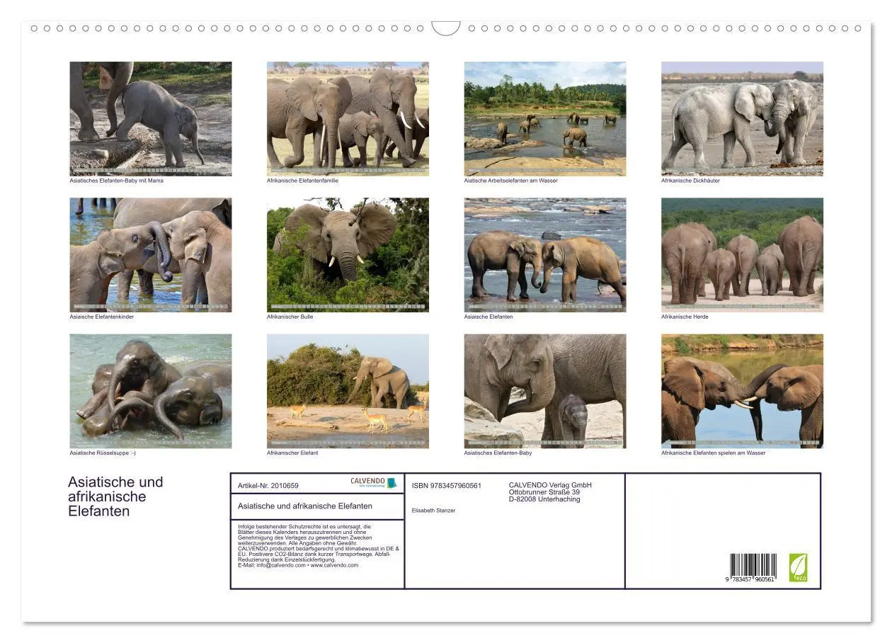 Bild: 9783457960561 | Asiatische und afrikanische Elefanten (Wandkalender 2026 DIN A2...