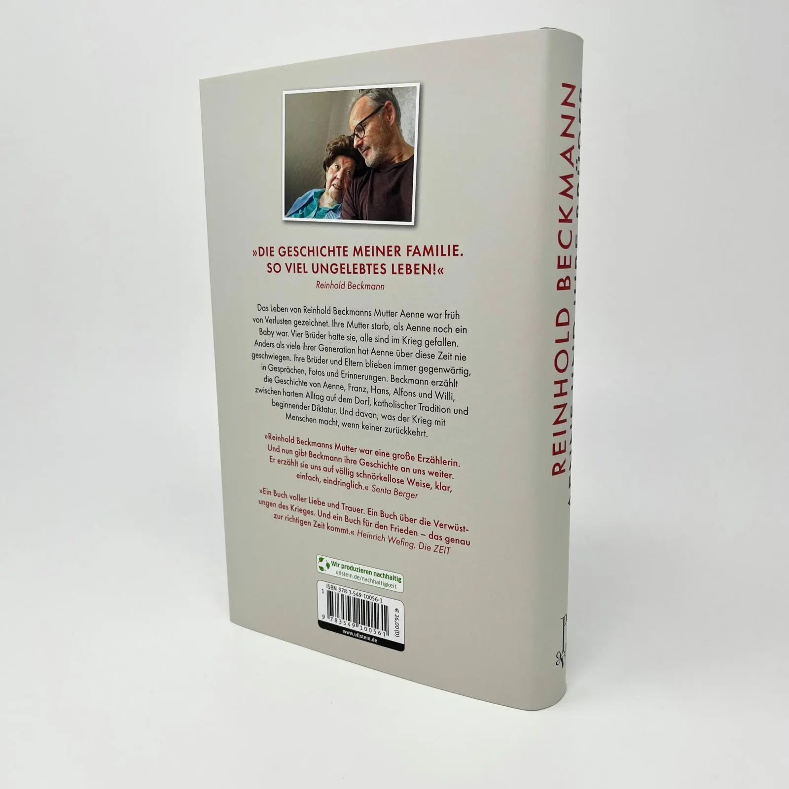 Bild: 9783549100561 | Aenne und ihre Brüder | Reinhold Beckmann | Buch | 352 S. | Deutsch