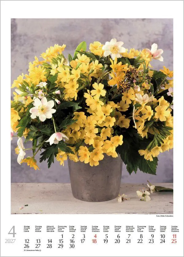 Bild: 9783819300561 | Blumensträuße 2027 | Verlag Korsch | Kalender | Spiralbindung | 13 S.