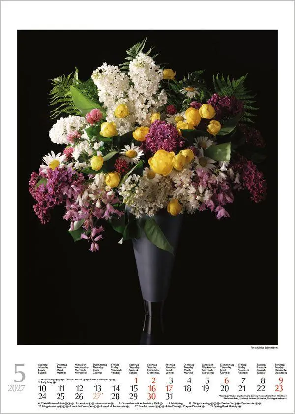 Bild: 9783819300561 | Blumensträuße 2027 | Verlag Korsch | Kalender | Spiralbindung | 13 S.
