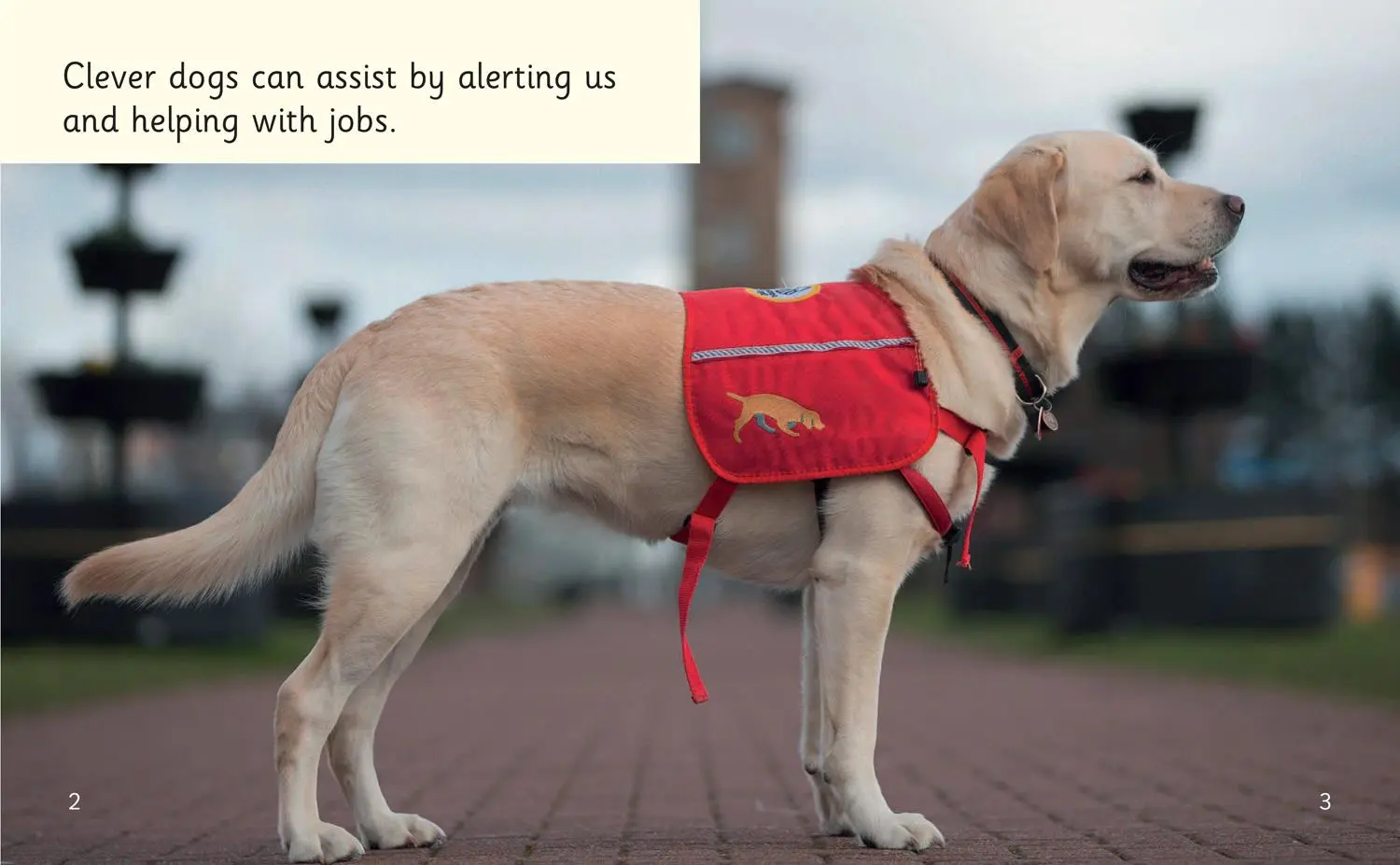 Bild: 9780008540661 | Dogs that Help | Phase 4 Set 1 | Helen Dineen | Taschenbuch | Englisch
