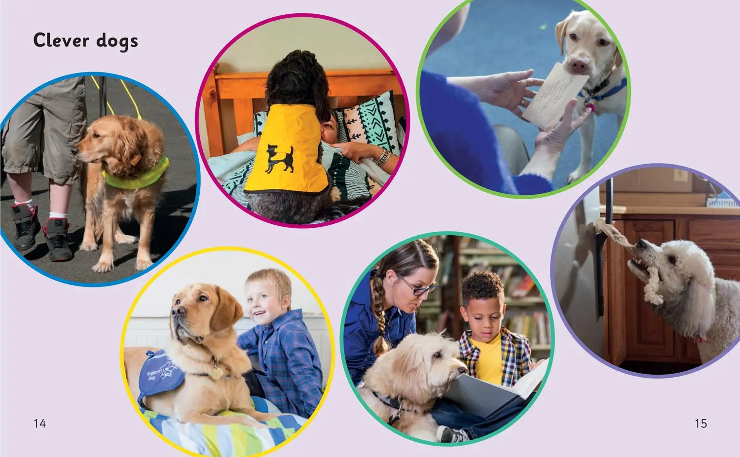 Bild: 9780008540661 | Dogs that Help | Phase 4 Set 1 | Helen Dineen | Taschenbuch | Englisch