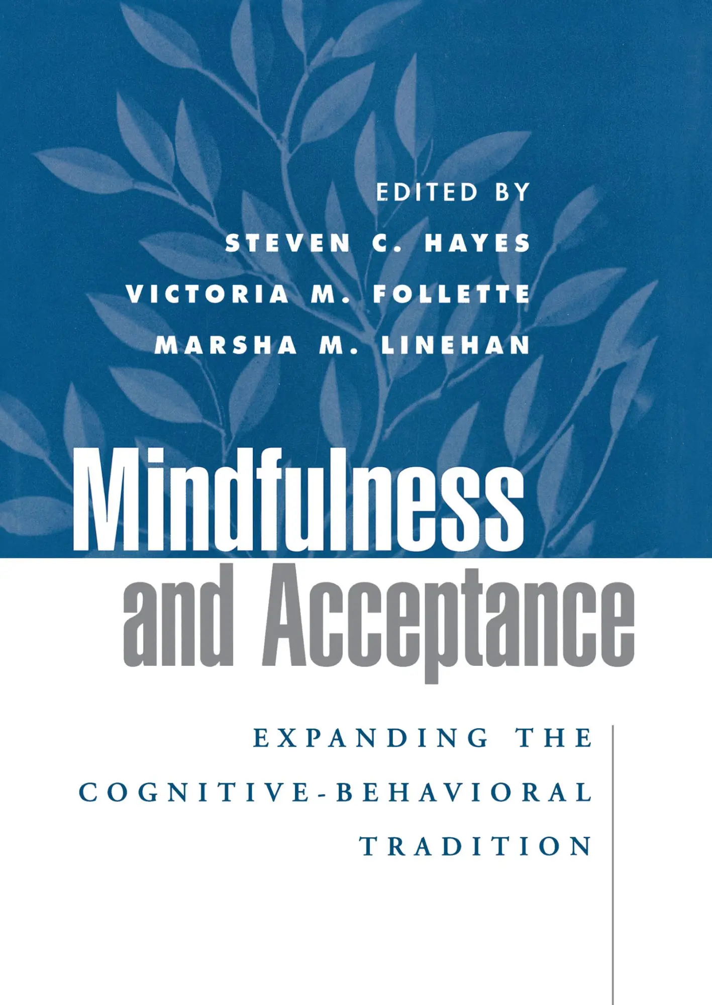 Cover: 9781593850661 | Mindfulness and Acceptance | Steven C Hayes (u. a.) | Buch | Englisch